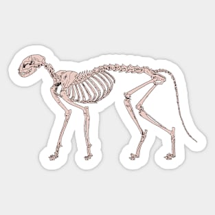 Cat Skeleton Natural Sticker